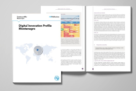 Visual of Montenegro Digital Innovation Profile