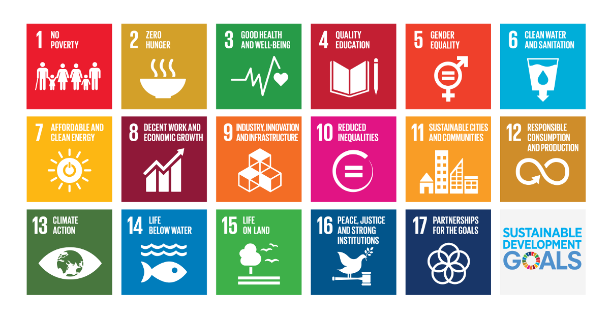 SDG Wheel Graphic