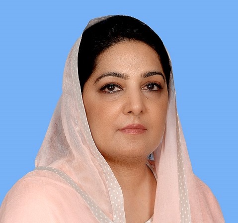 Pakistan minister new.png.jpg