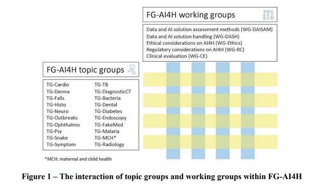 FG AI Working Group