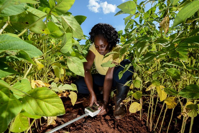 Tech transfer and digital public goods needed for climate action featured image