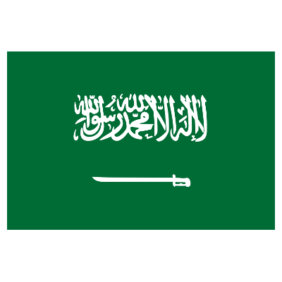 Saudi Arabia logo