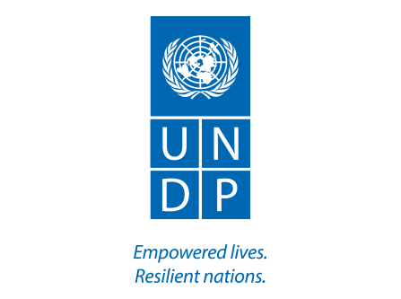 UNDP logo