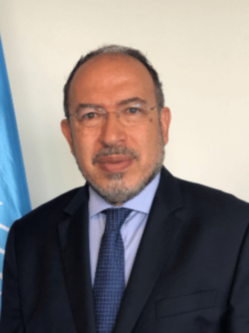 Dr. Tawfik Jelassi (WSIS Action Line Facilitator)