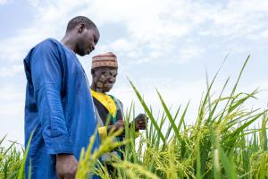 Farm Monitoring